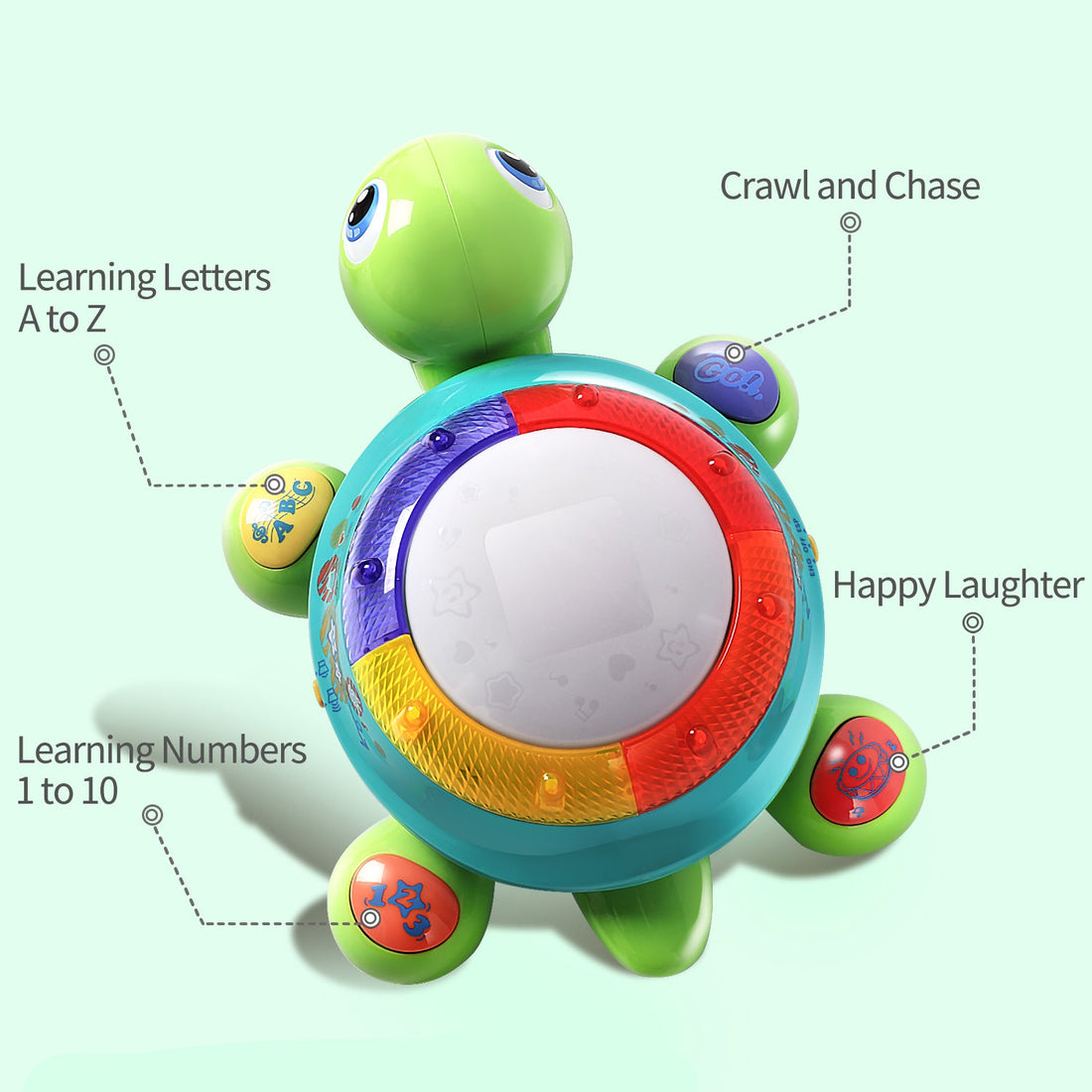 Musical Turtle Toy English & Spanish Learning with Lights and Sounds