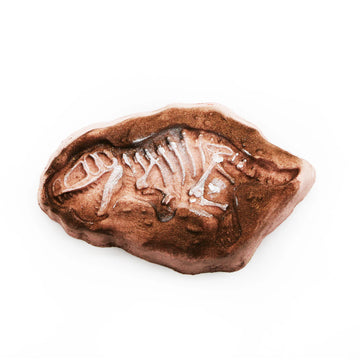 Dino Fossil Bath Bomb