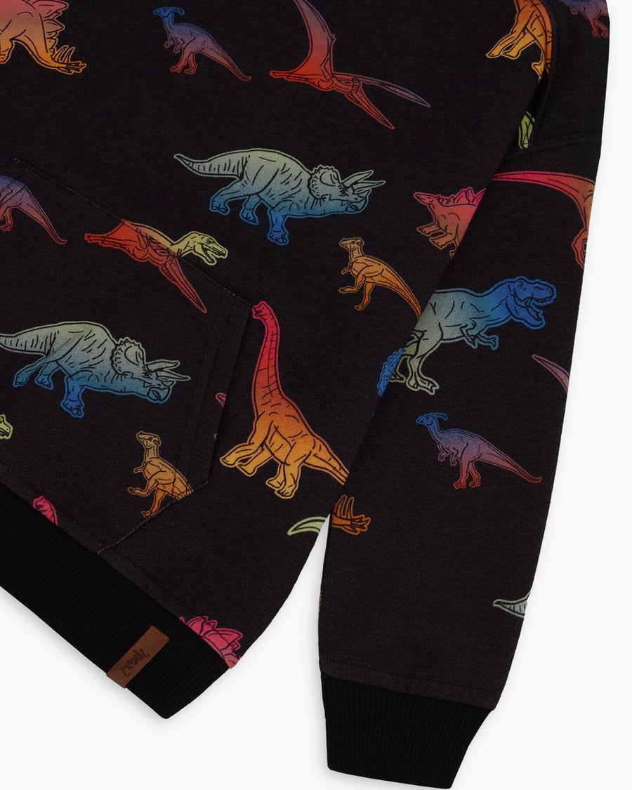 Printed Multicolor Dinosaur Fleece Hoodie Black
