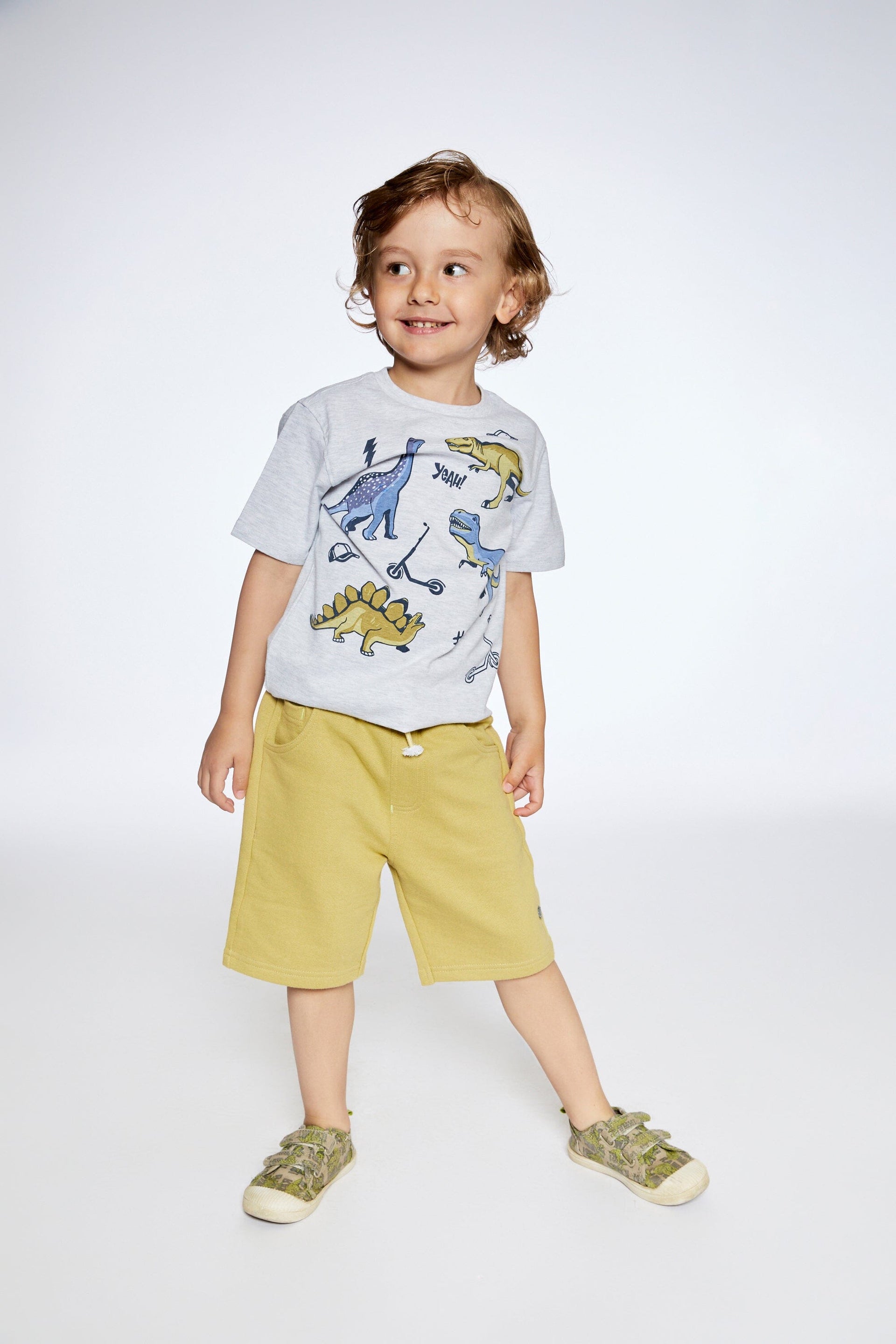 Organic Cotton T-Shirt With Dino Print Light Gray Mix