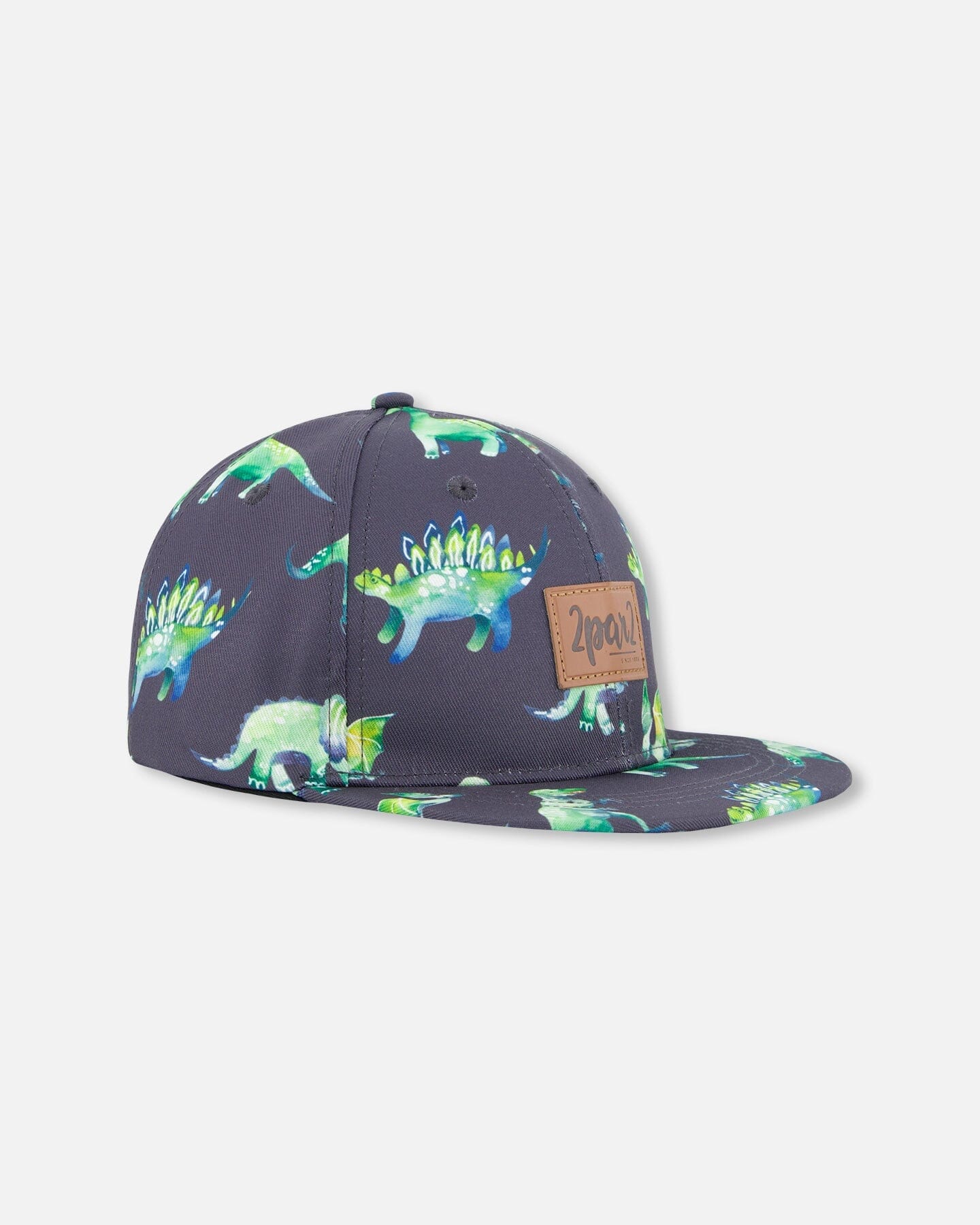 Cap Grey Printed Dinosaurs