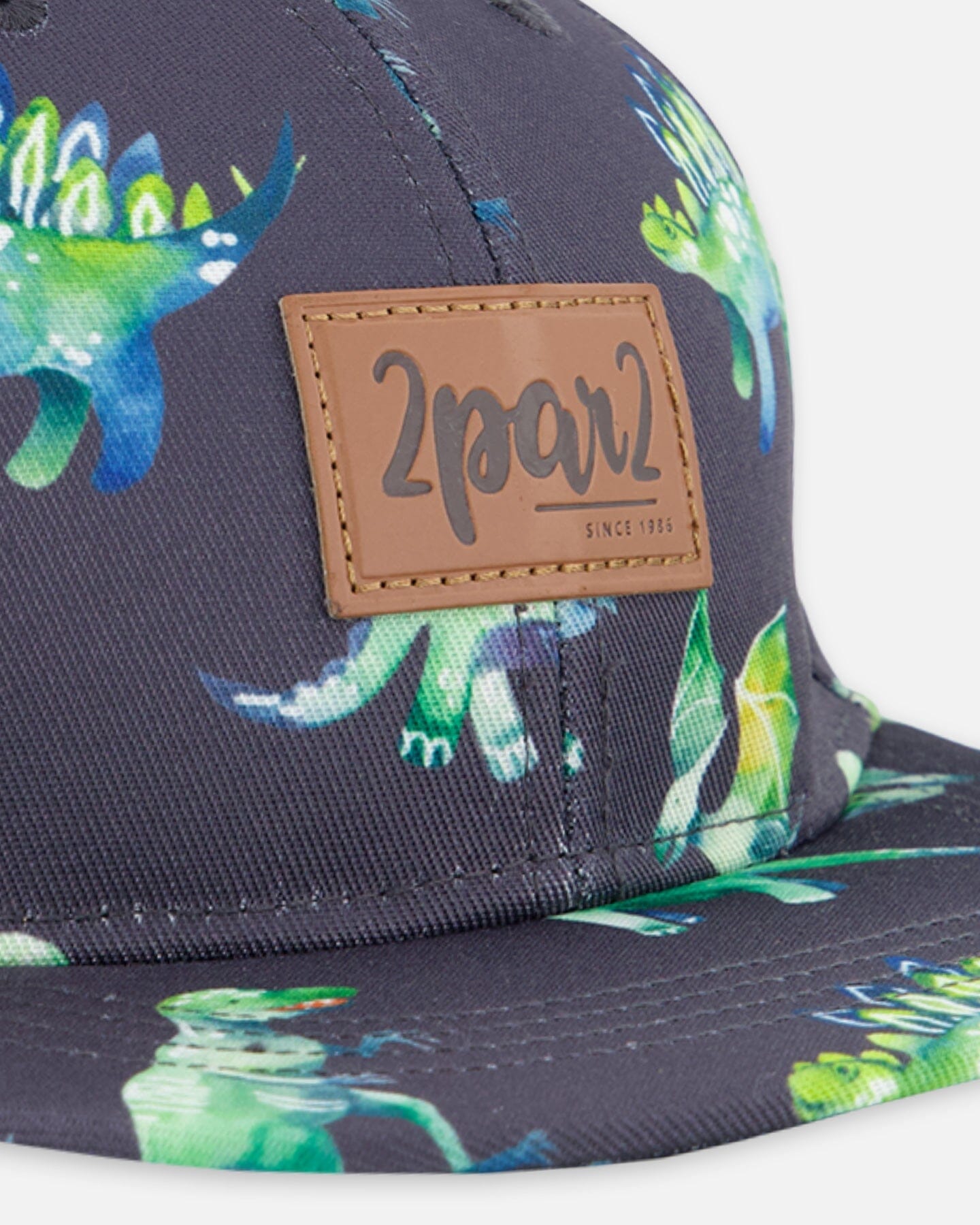 Cap Grey Printed Dinosaurs