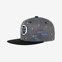 Fast Track Snapback