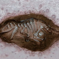 Dino Fossil Bath Bomb