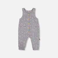 Organic Cotton Onesie And Printed Overall Set Gray With Apples