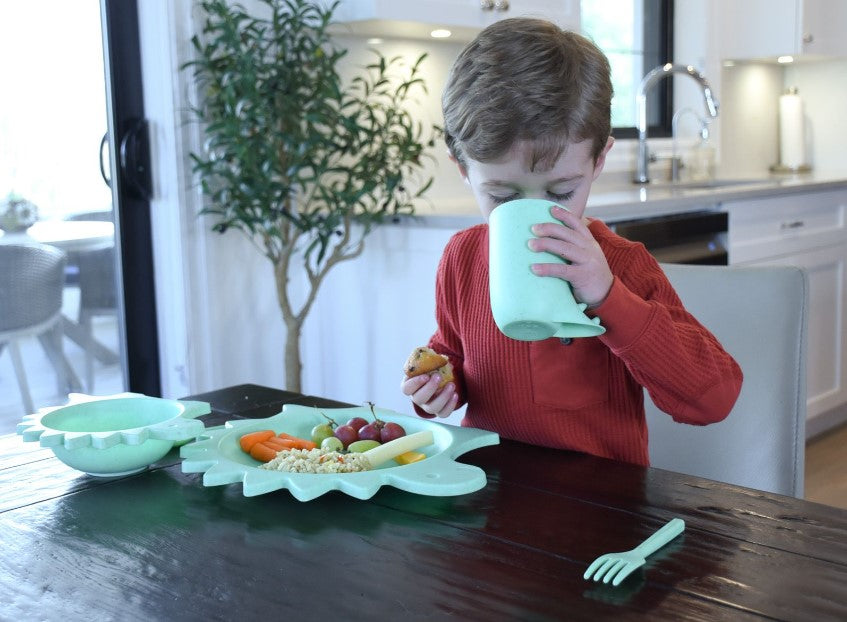 5 Piece Cellulose Feeding Set, Plate, Bowl, Cup, Spoon & Fork