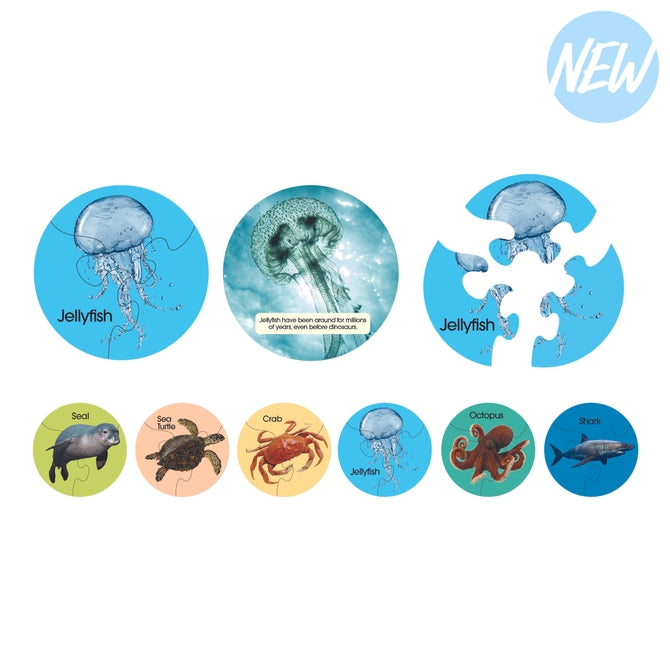 Sealife Animal Puzzles (6 Pack)