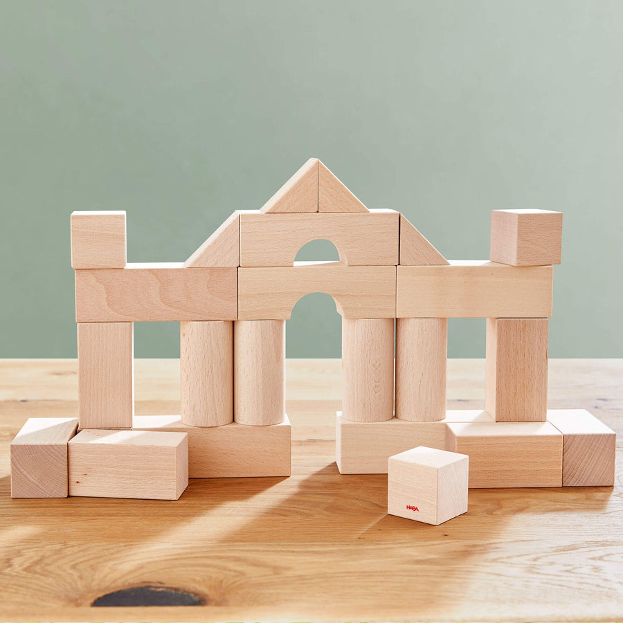 Basic Building Blocks 26 Piece Starter Set