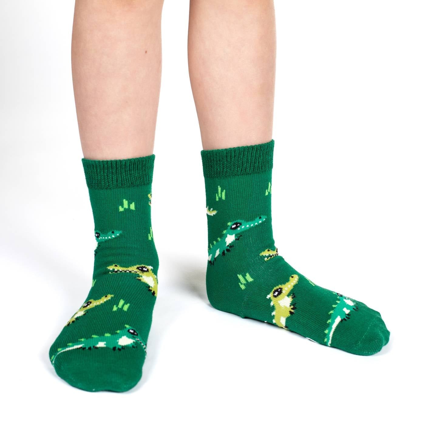 Hippopotamus, Crocodiles and Dinosaurs Kids Socks