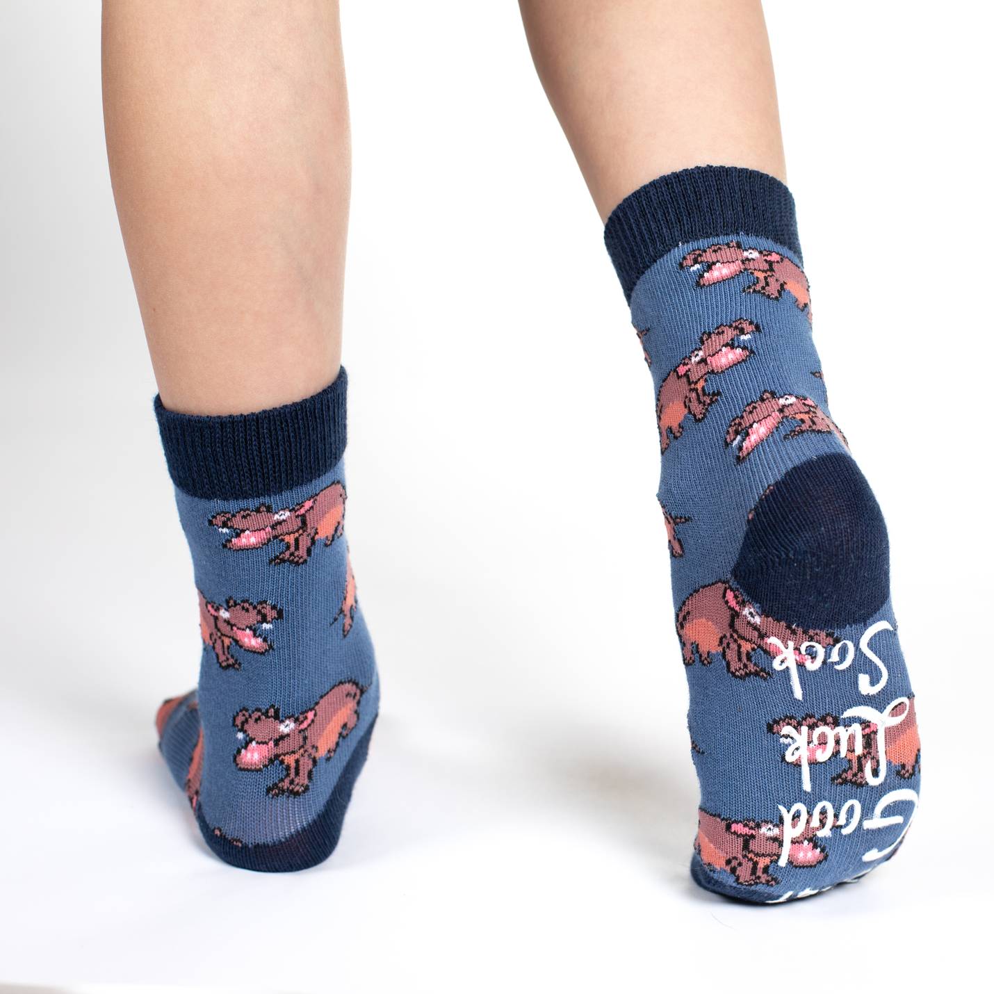 Hippopotamus, Crocodiles and Dinosaurs Kids Socks