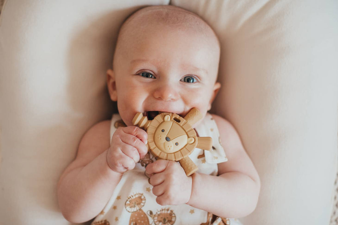 Ritzy Teether™ - Molar Teether | Buddy the Lion