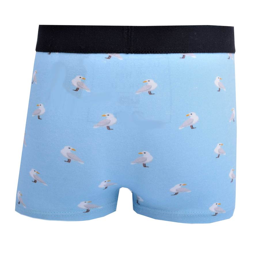 UNDERWEAR (SEAGULL BLUE)