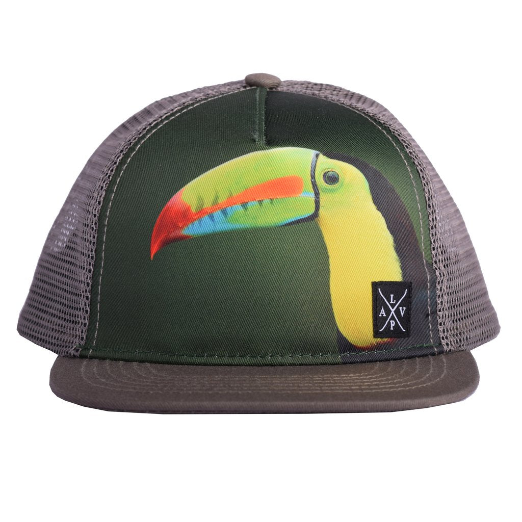 Snapback cap (Toucan)